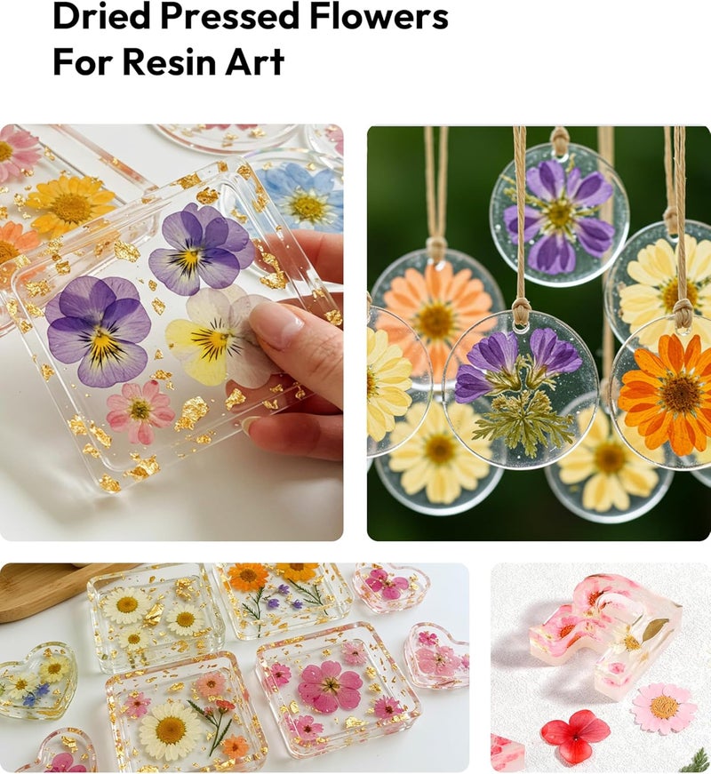 Resiners Dried Flowers for Resin, Dried Flowers for Candle Making Red Real Natural Pressed Flowers Dry Leaves Kit for DIY Crafts Resin Soap Scrapbook Supplies Card Making Jewelry (Baby Pink 150PCS) - Image 2